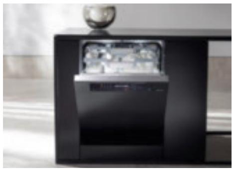 MIELE DG6 200 IN - L'entretien optimal de vos apparèils Miele - 1