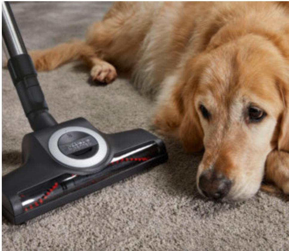 MIELE DG6 200 IN - Pour tapis et moquettes - 1