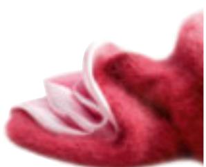 MIELE DG6 200 IN - Lessive couleurs UltraColor Sensitive - 2