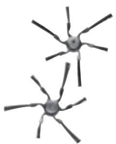 MIELE DG6 200 IN - Accessoires pour aspirateurs robots RX2 et RX3 - 2