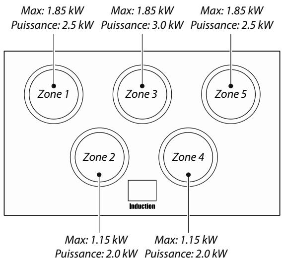 FALCON PROFESSIONAL 110 DELUXE INDUCTION - Puissances - 1