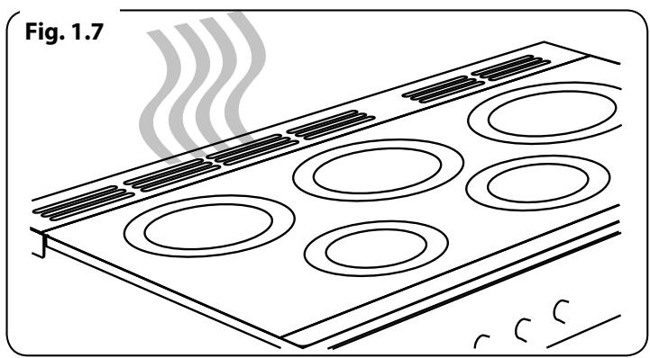 FALCON PROFESSIONAL 110 DELUXE INDUCTION - François - 4