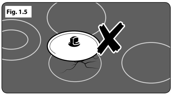 FALCON PROFESSIONAL 110 DELUXE INDUCTION - François - 2