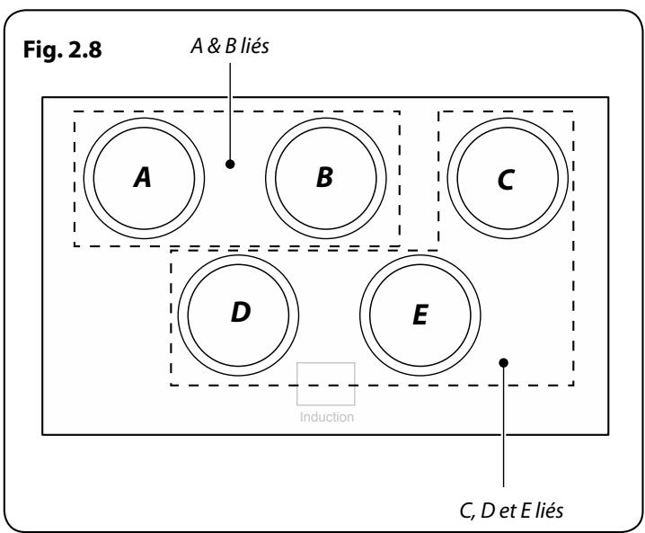 FALCON PROFESSIONAL 110 DELUXE INDUCTION - Chauffage Automatique, R - 2