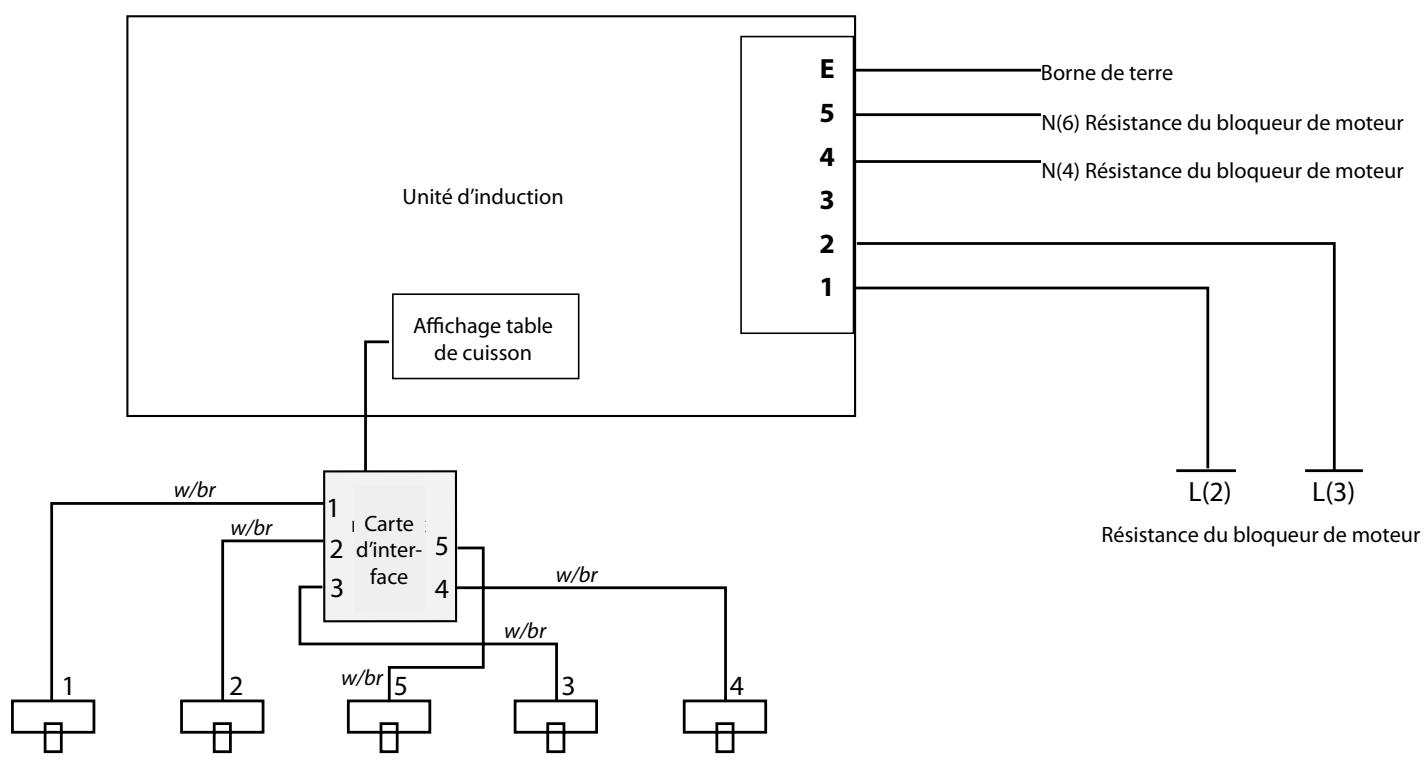 FALCON PROFESSIONAL 110 DELUXE INDUCTION - Table de Cuisson - 1