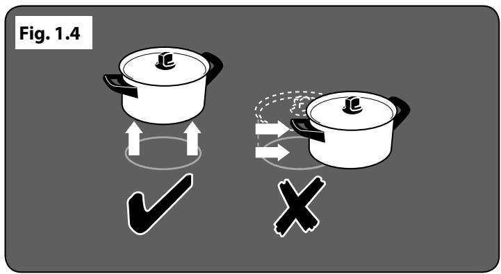 FALCON PROFESSIONAL 110 DELUXE INDUCTION - François - 1