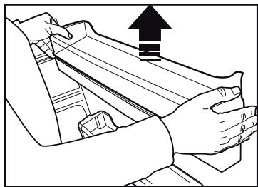 BEKO RCNE520E30JGB - Vandens talpyklos valymas - 3