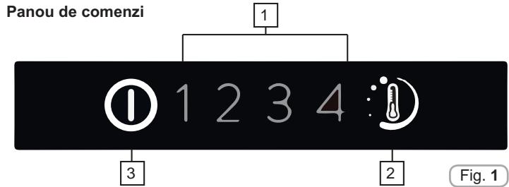 ROSIERES RBBS100N - FUNCTIONARE - 1