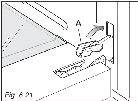 A Fig. 6.21