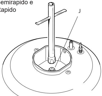 emirapido e apido J