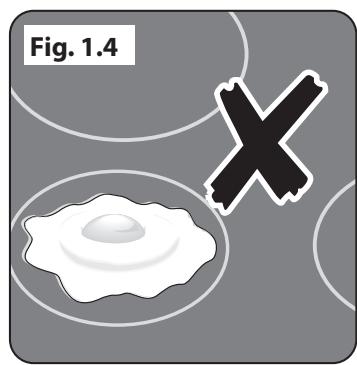 FALCON ELISE 110 INDUKTION - Entretien de l'induction - 2