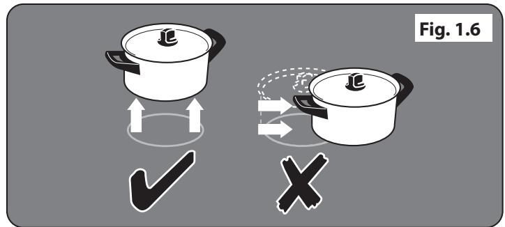 FALCON ELISE 110 INDUKTION - Entretien de l'induction - 4
