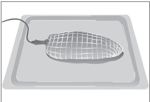 BARAZZA 1FFYPI - Die Platzierung der Bratensonde - 1