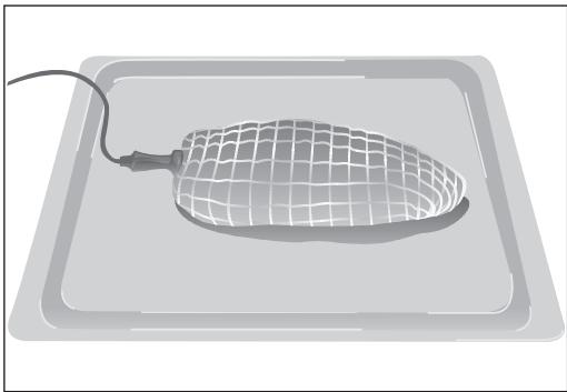 BARAZZA 1FFYPI - como colocar la sonda de carne - 1