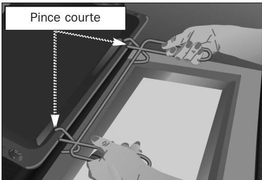 BARAZZA 1FFYPI - Poignée de retrait des plaques - 1