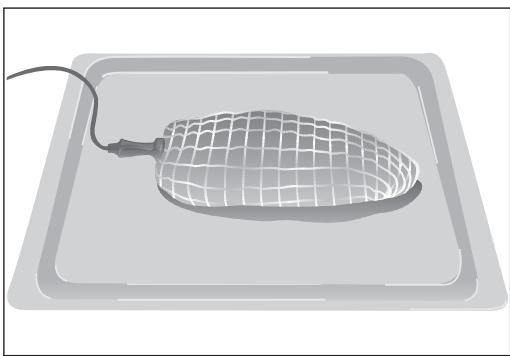 BARAZZA 1FFYPI - Como colocar a sonda de carne - 1