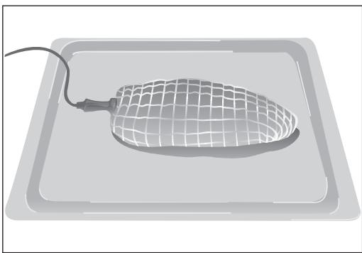 BARAZZA 1FFYPI - Come posizionare la sonda per carne? - 1