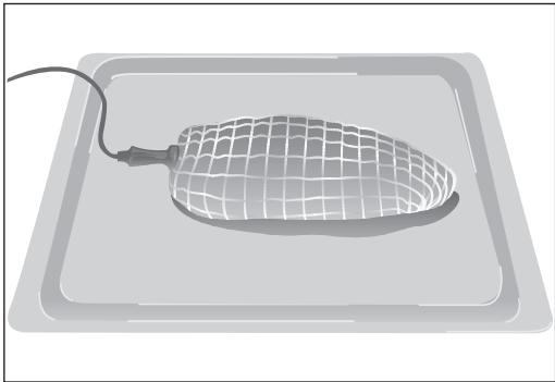 BARAZZA 1FFYPI - Placing the meat probe - 1