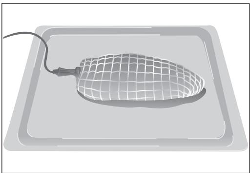BARAZZA 1FFYPI - Hoe moet de vleessonde worden gebruikt? - 1
