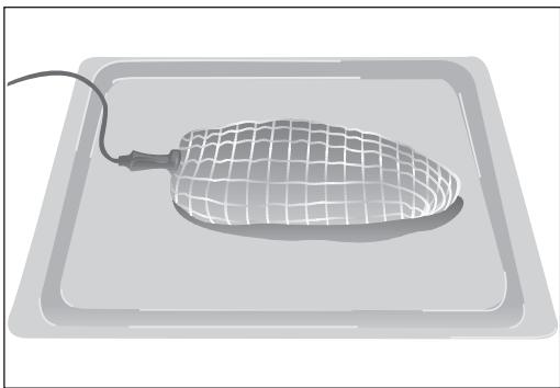 BARAZZA 1FFYPI - Comment placer la sonde à viande - 1