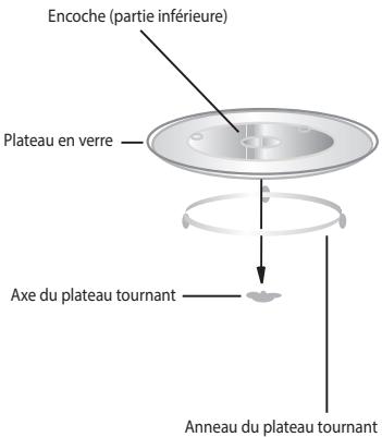 ECG MTD 231 S - INSTALLATION DU PLATEAU TOURNANT - 1