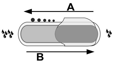 HOTPOINT H8 A1E S - BAC À HUMIDITÉ CONTRÔLÉE - 1