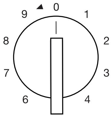 GAGGENAU CG261210  -  CG261210 - Dualwokeer-kronenbrander - 1