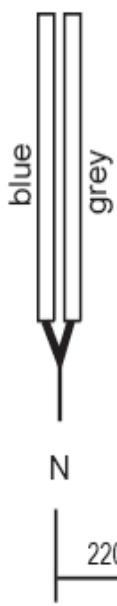 CANDY CHK64C  -  CHK64C - Replacing the mains supply cable - 2
