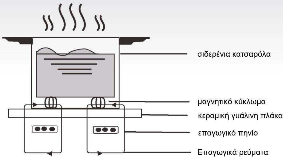 HAIER HAIDSJ63MC  -  HAIDSJ63MC - Bασικές αρχές λεῖτουργίας - 1
