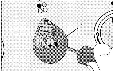 BEKO HIAL 75225 SX - Reduced gas flow rate setting for hob taps - 2