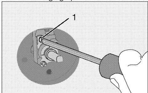 BEKO HILL 75235 S - Réglage de débit de gaz réduit pour les robinets de la plaque de cuisson - 1