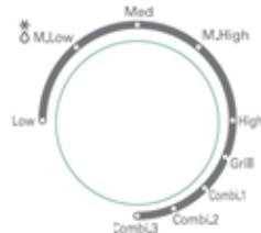 GIRMI FM21 - BESCHREIBUNG FM21 - 1