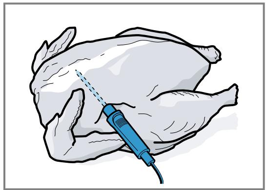 GAGGENAU BS455101  -  BS455101 - Insérer la sonde thermométrique dans de la volaille - 2