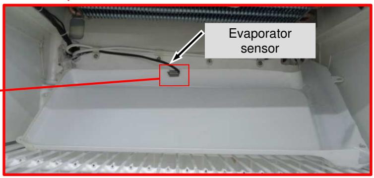 LIEBHERR FDv 4613 - Evaporator Sensor - 5