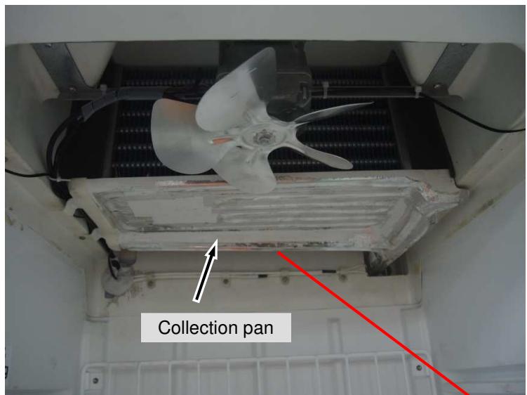 LIEBHERR FDv 4613 - Evaporator Sensor - 3
