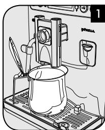 SAECO EXPRELIA EVO - MANUAL RINSE CYCLE CICLO DI RISCIACQUO MANUALE - 1