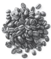 MELITTA EPOS - EINWANDIGE SIEBEINSÄTZE - 1
