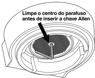 SAGE SES875 - UTILIZAR A CHAVE ALLEN - 1
