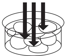 PANASONIC NE-1037  -  NE-1037 - Absorption - 1