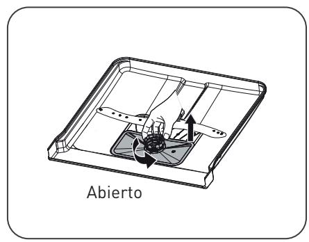 Abierto