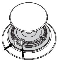 SMEG CS19-7 - Zündkerzen und Thermoelemente - 1