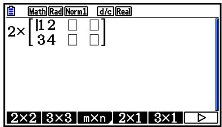 CASIO GRAPH90+E PYTHON - - Pour affecter une matrice créé à l'aide de l'écriture naturelle à une mémoire matricière spécifiée - 4