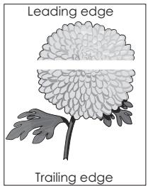 LEXMARK MX617DE - Des blancs horizontaux apparaissent sur les impressions - 1