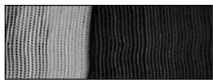 ZIBRO SC3032 - Reinigen des Luftfilters - 4