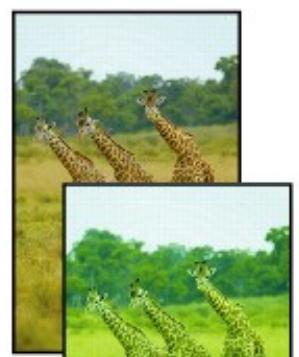 CANON LBP 6600 - No Printing Results/Printing Is Blurred/Colors Are Wrong/White Streaks - 3