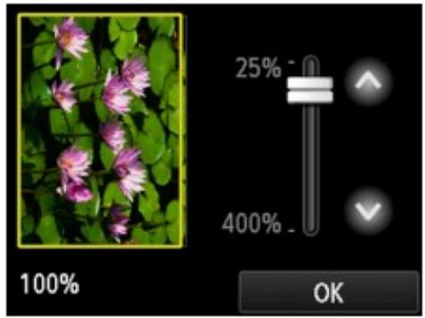 CANON LBP 6600 - Making Copies - 5