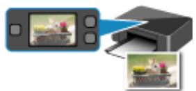 CANON LBP 6600 - Printing - 2