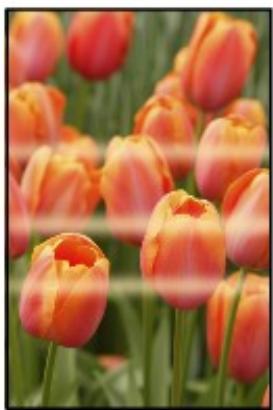 CANON LBP 6600 - Colors Are Uneven or Streaked - 2