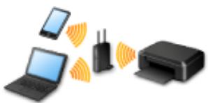 CANON LBP 6600 - Connection Using an Access Point - 1