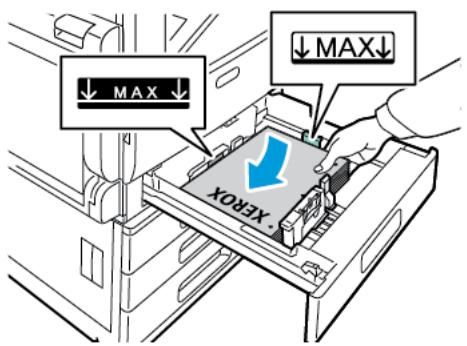 XEROX VERSALINK C7000N - Chargement du papier dans les magasins 1 à 4 - 7